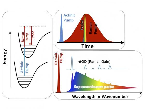 Pump-Probe spectroscopy system.jpg